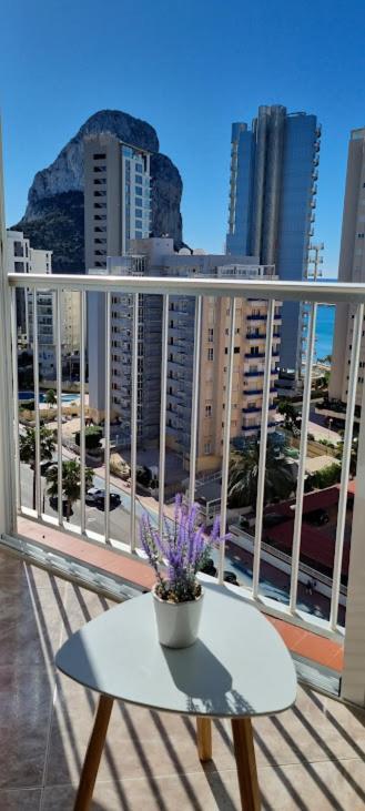 Atlantico Flamingo Appartement