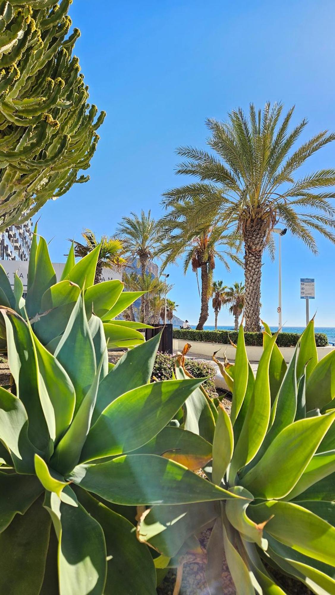 Atlantico Flamingo Apartment Calp