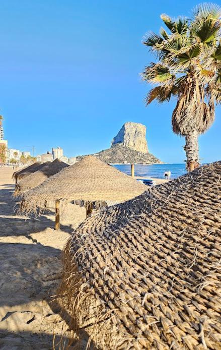 Atlantico Flamingo Calp