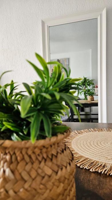 Atlantico Flamingo Appartement *