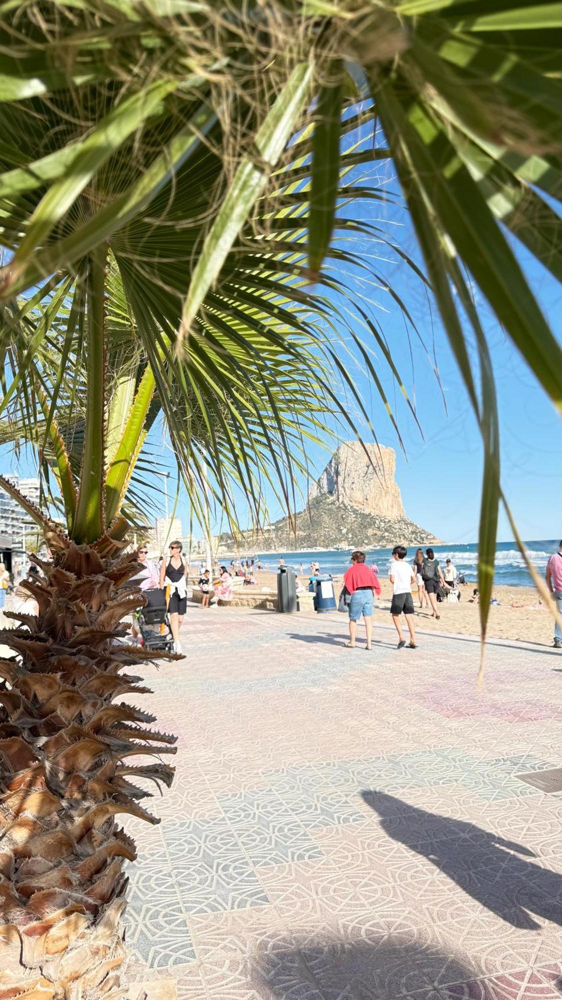 Atlantico Flamingo * Calpe