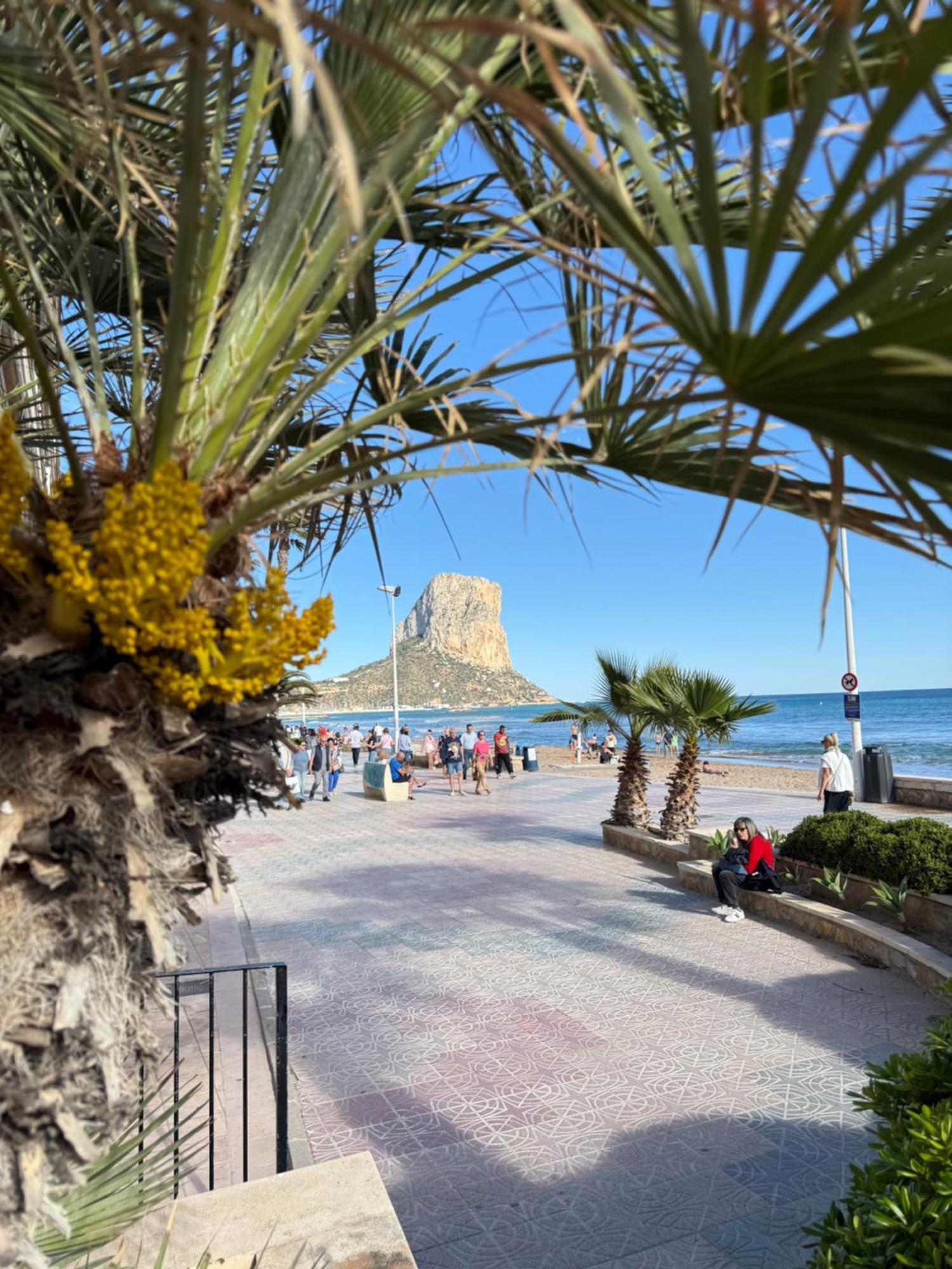Atlantico Flamingo * Calpe